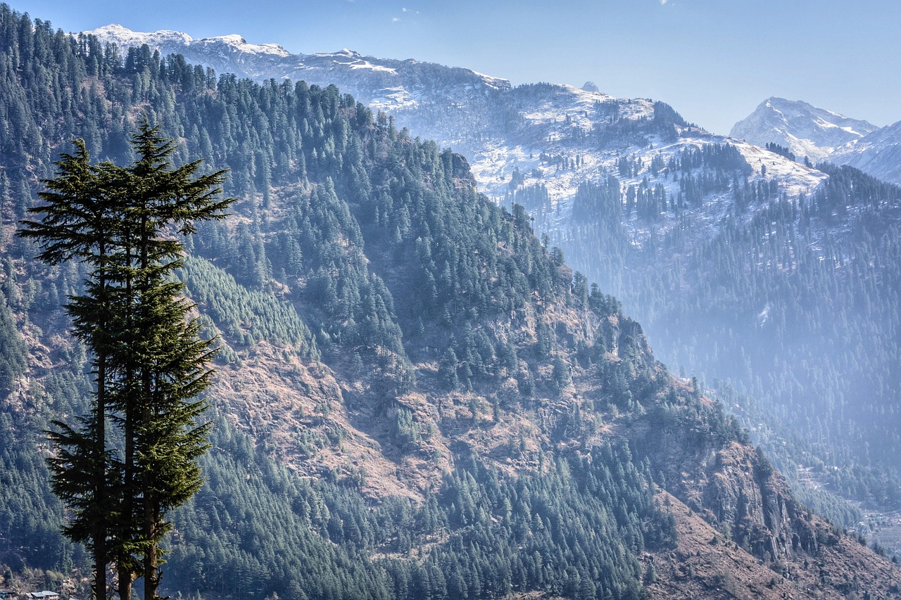 Himalayan Journey Tour Package